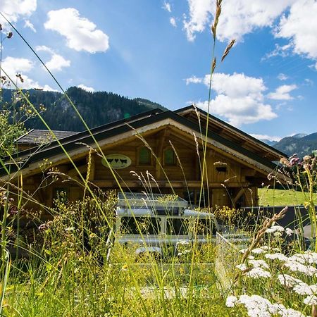 Chalet Carnauba Châtel Esterno foto