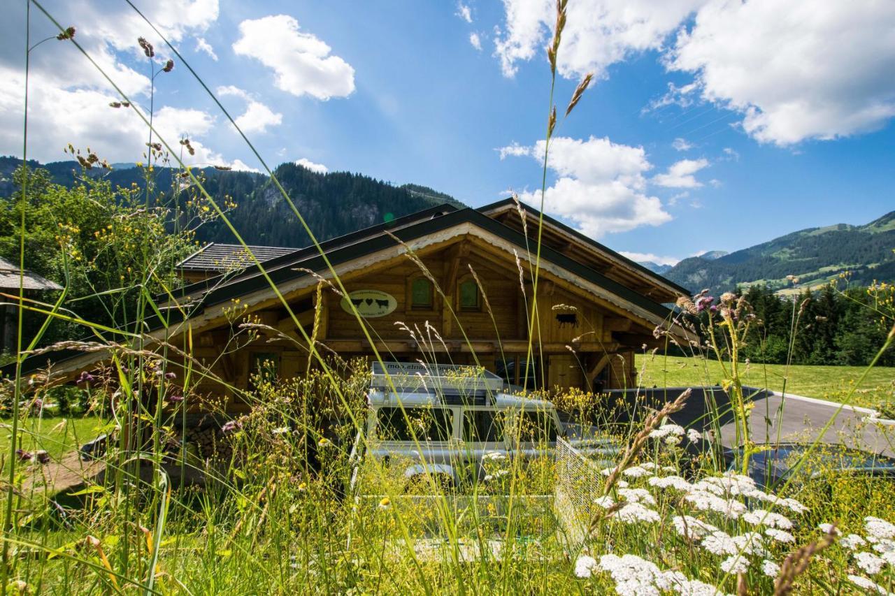 Chalet Carnauba Châtel Esterno foto