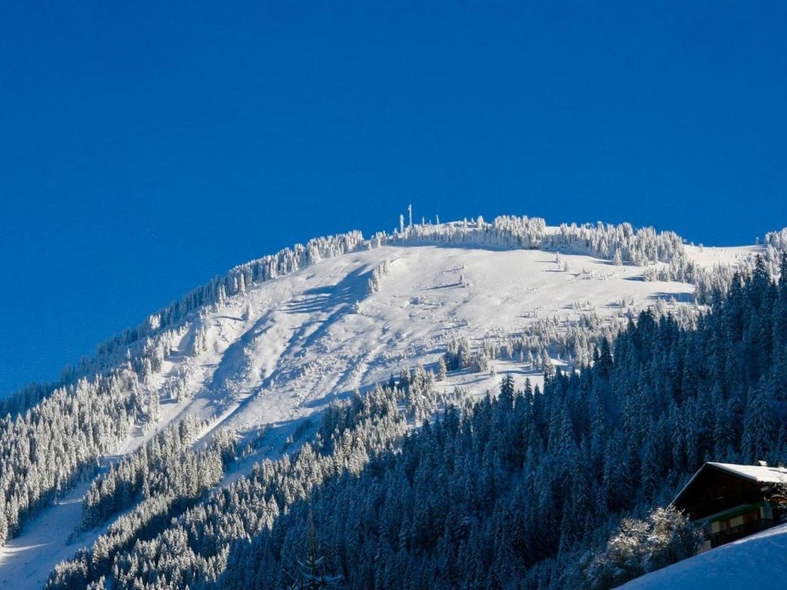 Chalet Carnauba Châtel Esterno foto